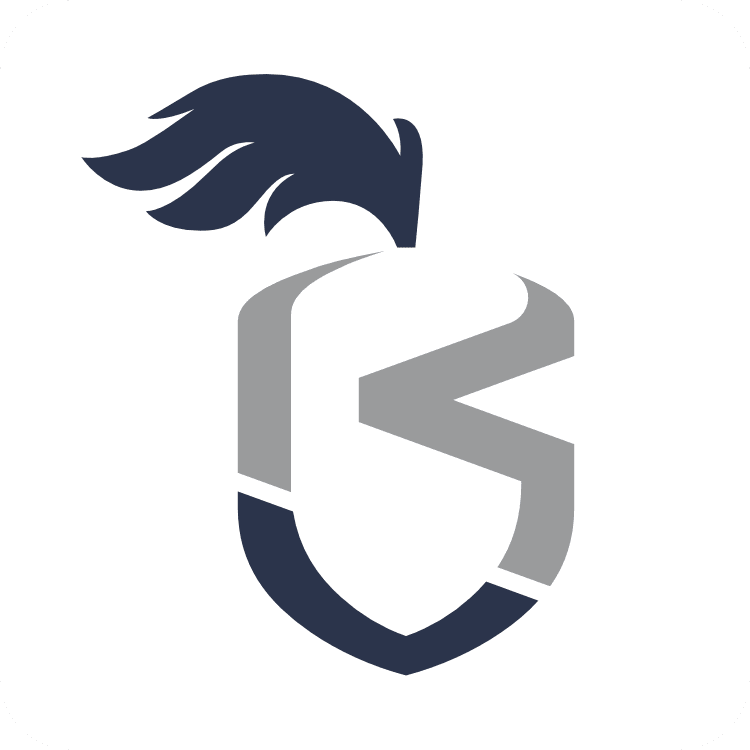 Knights Software Solutions GmbH
